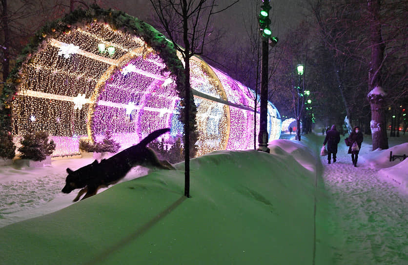 Виды Москвы во время снегопада