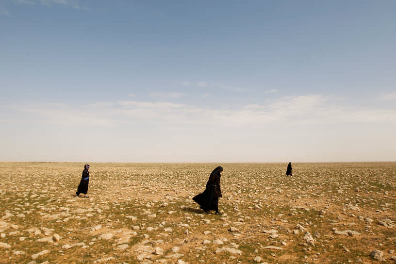 Эс-Самава, Ирак. Женщины ищут трюфели в пустыне 