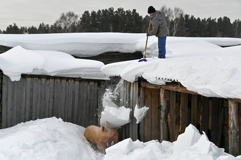 Бобровка, Омская область. Мужчина счищает снег с крыши сарая