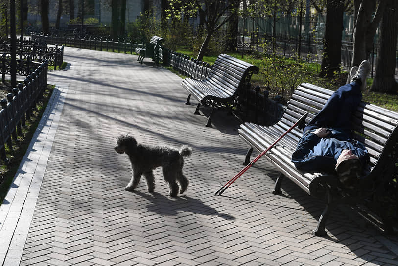 Москва. Мужчина с собакой во время прогулки в сквере