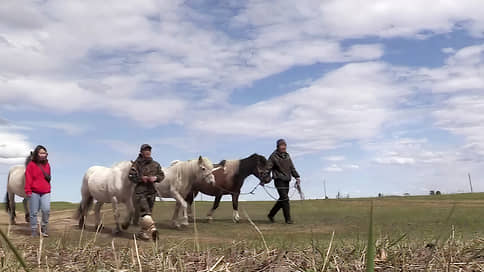 Кони-люди на пути в Европу