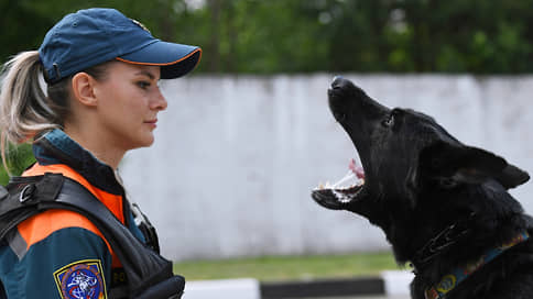 Специально обученные собаки