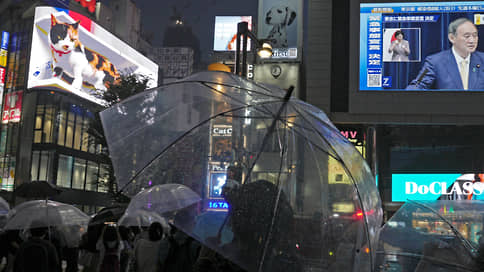 Кот с билборда