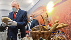 Лидер ЛДПР съездил во Владимир за хлебом