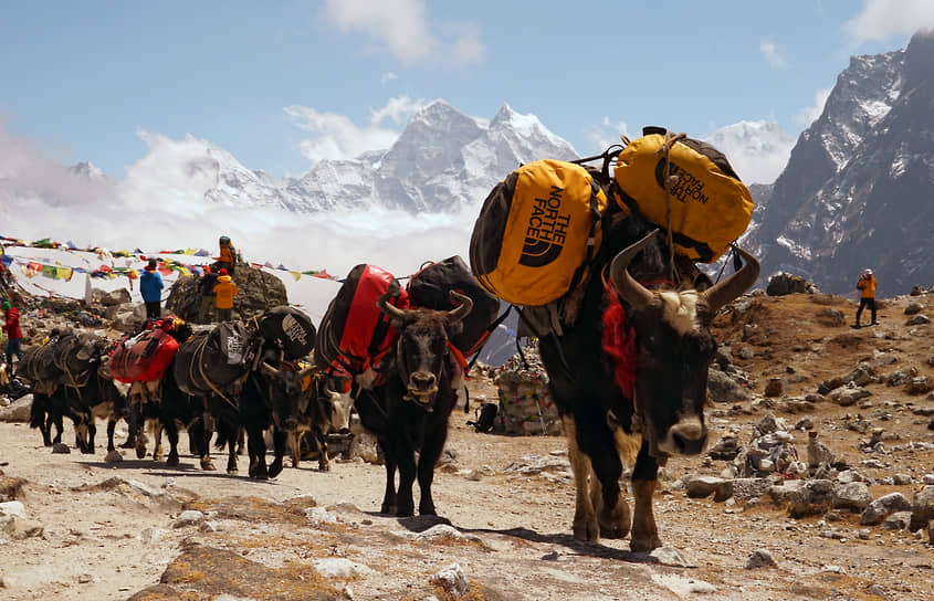 «Если вы идете на Эверест, то вряд ли надо тратить миллиард долларов на строительство канатки, но и ехать в самую дешевую экспедицию без кислорода и шерпов, где ты сам таскаешь все, тоже не нужно»
