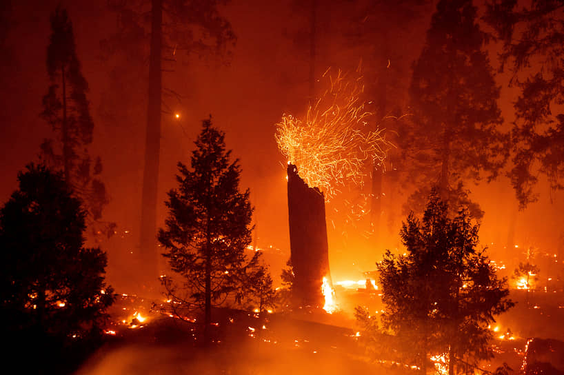 Калифорния, США. Лесные пожары 