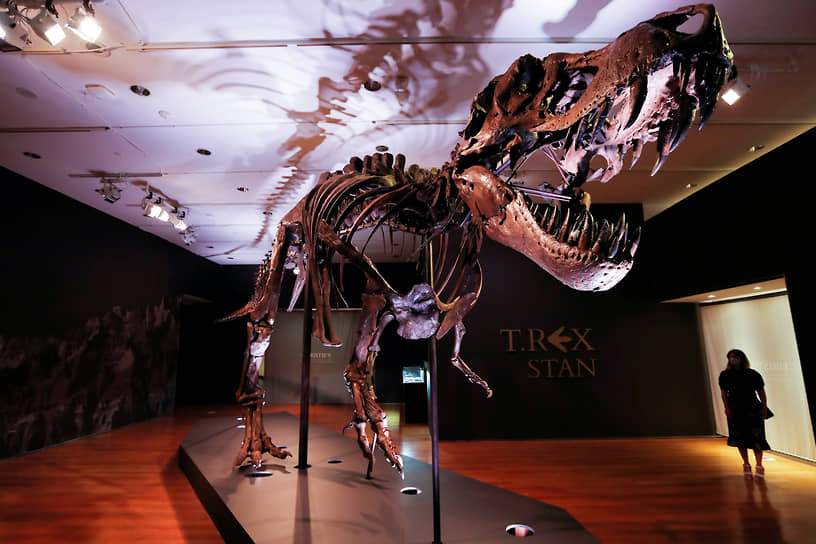 В октябре 2020 года на аукционе Christie&#39;s полный скелет тираннозавра по имени «Стэн» был продан за рекордные $31,8 млн анонимному покупателю. Останки были найдены в 1987 году, перед продажей они находились на изучении в Институте геологических исследований Блэк-Хиллз 