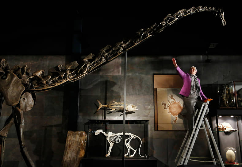 В декабре 2013 года Музей естественной истории Дании на аукционе West Sussex приобрел за $652 тыс. скелет диплодока «Мисти». Это один из шести почти полных скелетов в мире, он был обнаружен в 2009 году в Вайоминге (США)
