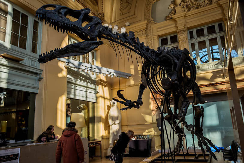 В декабре 2016 года скелет аллозавра по имени «Кан» был продан за $1,2 млн на аукционе Aguttes. В настоящее время он находится в садах Маркессак недалеко от одноименного замка в Везаке во Франции 