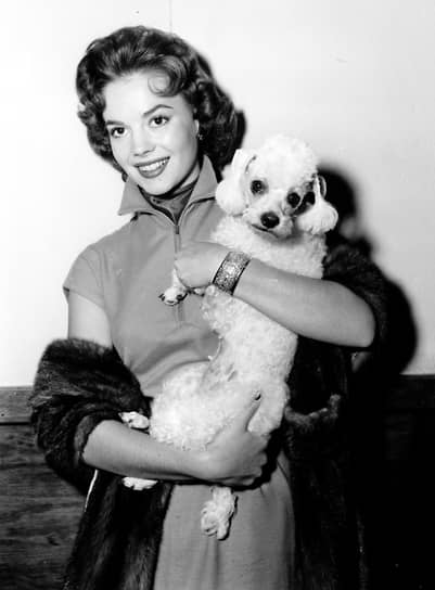 На подписание контракта с киностудией Warner Bros. в 1955 году Натали пришла с пуделем по кличке Фифи и рассказала репортерам, что у нее есть еще один пудель, какаду и два зяблика