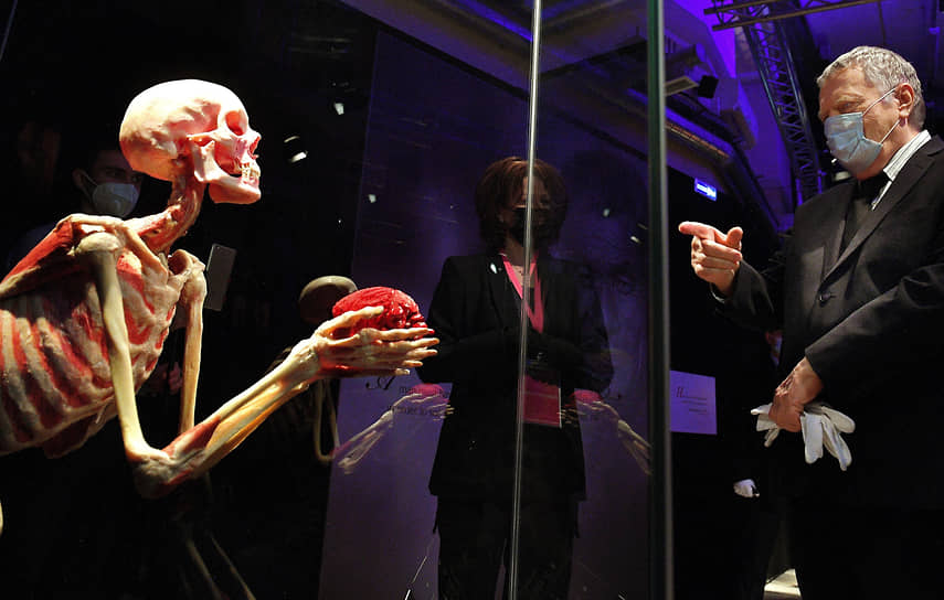 Лидер ЛДПР Владимир Жириновский на анатомической  выставке «Body Worlds. Мир тела»