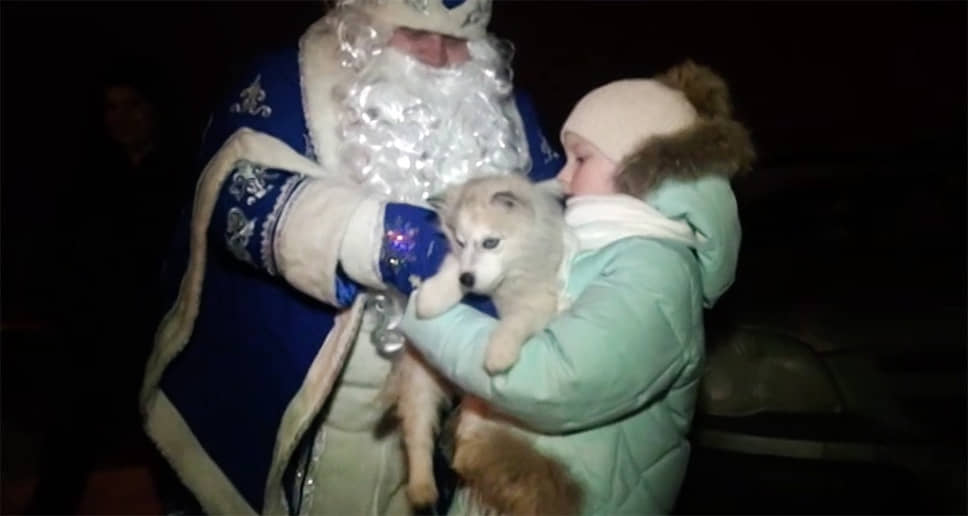В 2018 году в ответ на письмо с новогодним пожеланием Владимир Путин также прислал 7-летней Валерии Шаталовой из Липецкой области щенка хаски