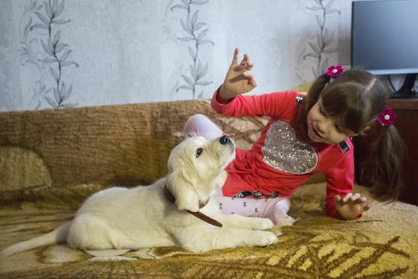 В феврале 2019 года Владимир Путин подарил щенка золотистого ретривера девочке c аутизмом из поселка Славянка в Приморском крае. Девочка и ее мама отправляли президенту письмо с просьбой подарить домашнее животное