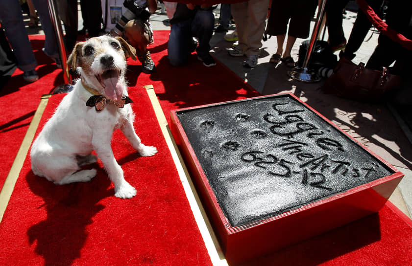 21 мая 2011 года американский пес-киноактер Угги был награжден специальным призом Palm Dog Award на Каннском кинофестивале за роль в фильме «Артист». Собака породы джек-рассел-терьер скончалась 7 августа 2015 года
