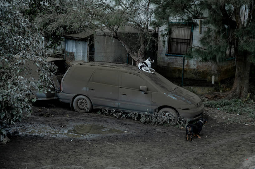 Тонгатапу, Тонга. Покрытый пеплом автомобиль после извержения вулкана и цунами