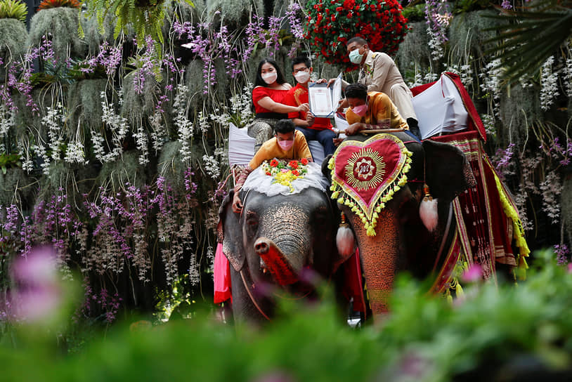 Чонбури, Таиланд. Церемония подписания свидетельства о браке, которая прошла верхом на слонах