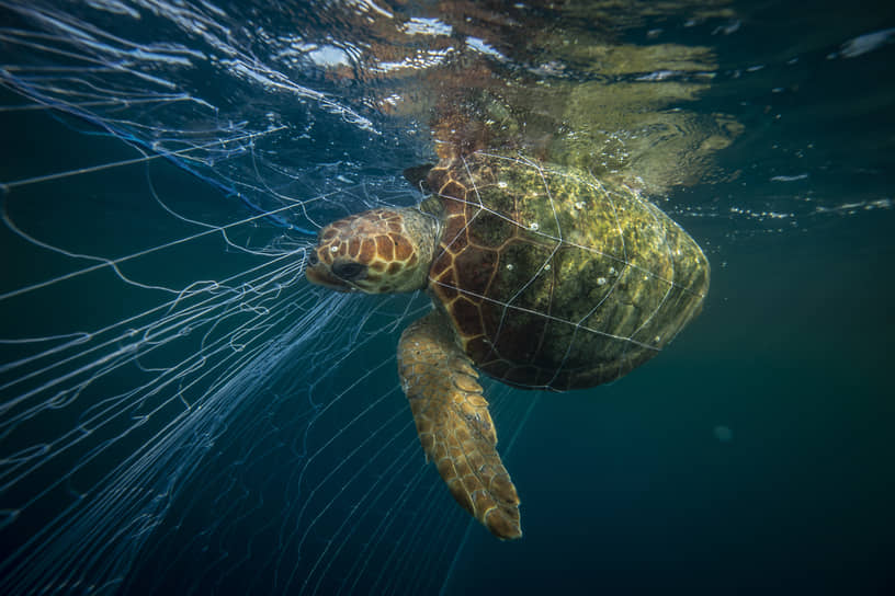 Выброшенные старые рыбацкие сети составляют заметную часть пластикового мусора в океане