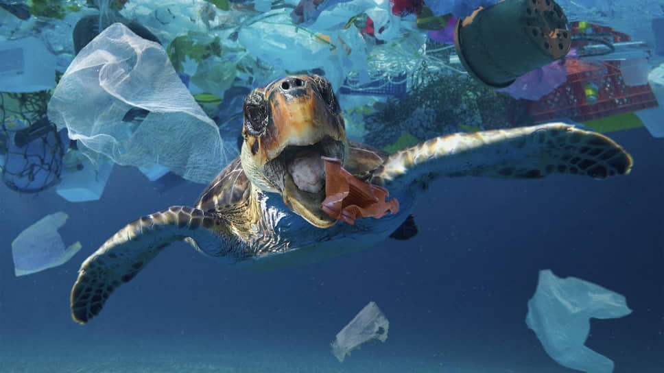 Чем опасны попавшие в Мировой океан пластиковые отходы