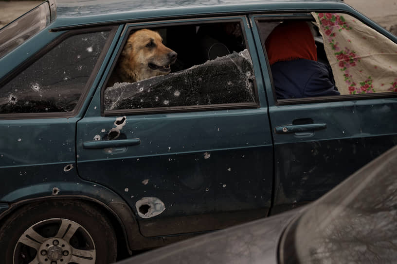 Автомобиль с собакой в салоне подъезжает к контрольно-пропускному пункту в Харькове