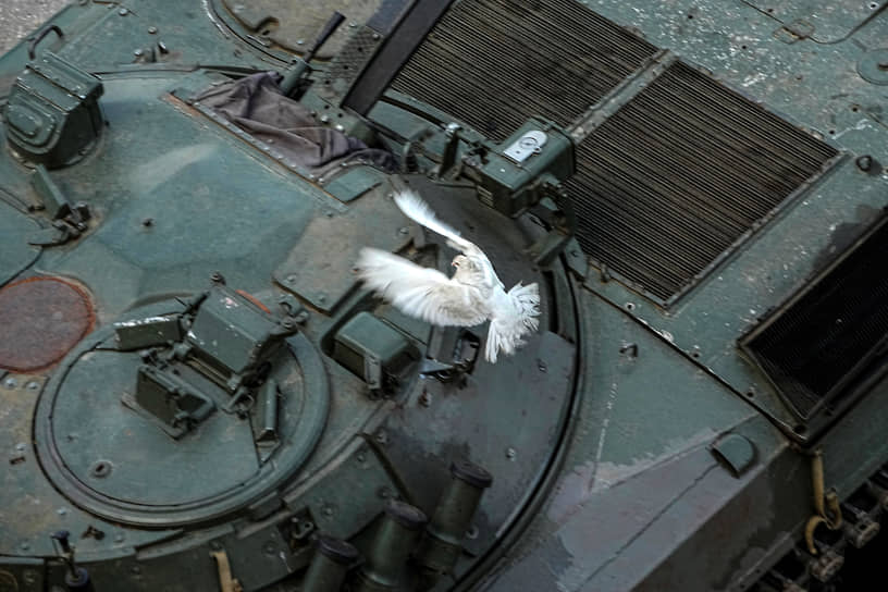 Белый голубь пролетает над боевой техникой на выставке трофейных украинских танков и вооружения в Лисичанске