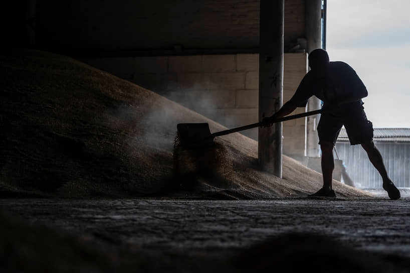 Работник пшеничного хранилища в селе Томиловка Киевской области