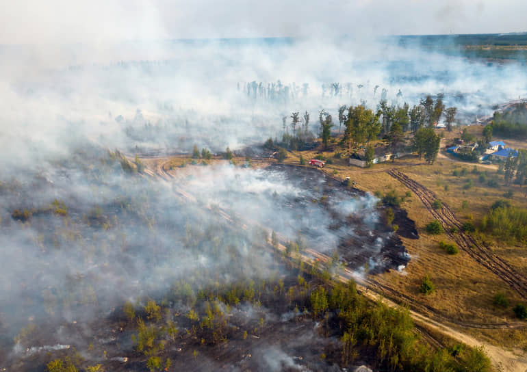 Ландшафтный пожар в пригороде Воронежа летом 2021 года