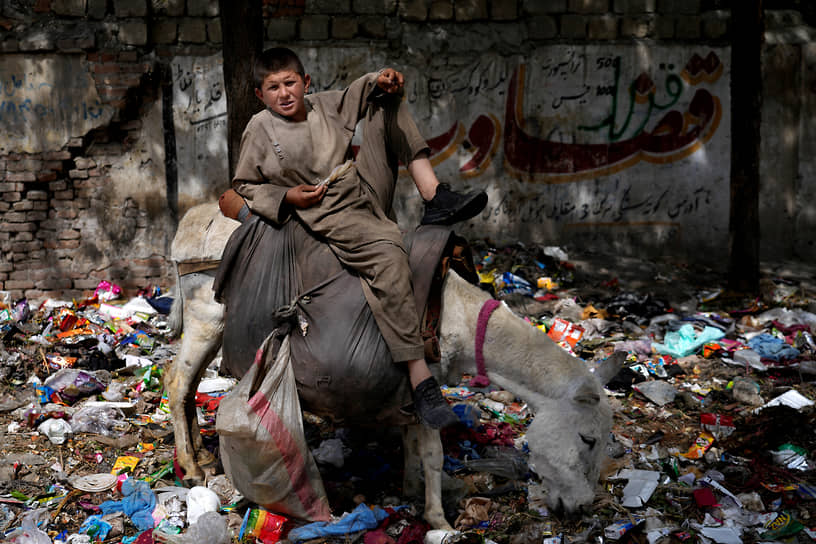 Кабул. Афганский мальчик на осле посреди мусора