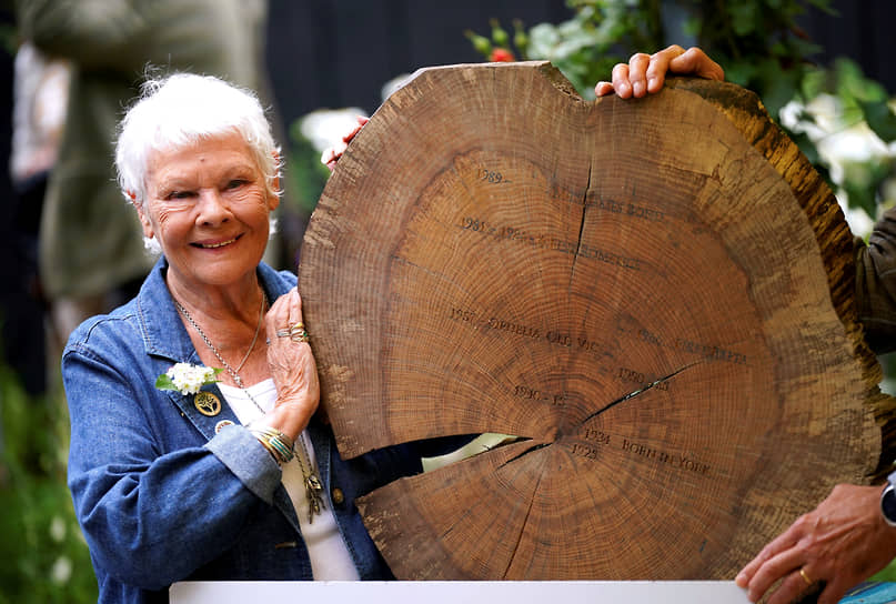 Актриса Джуди Денч демонстрирует деревянный круг с высеченными на нем ключевыми датами из ее жизни и карьеры