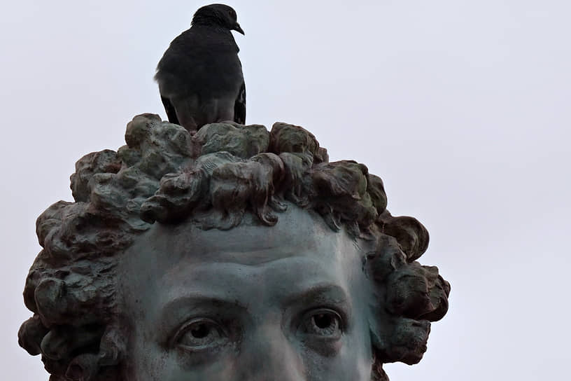 Москва. Голубь сидит на памятнике поэту Александру Пушкину 