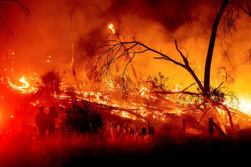 Калаверас, США. Лесной пожар в Калифорнии