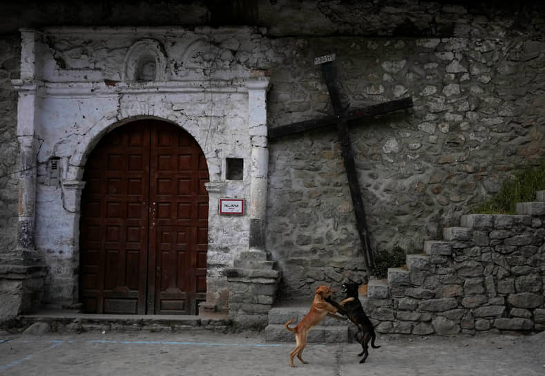 Тупе, Перу. Собаки играют перед церковью