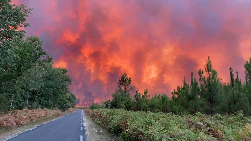 Хостенс, Франция. Лесные пожары в регионе Жиронда