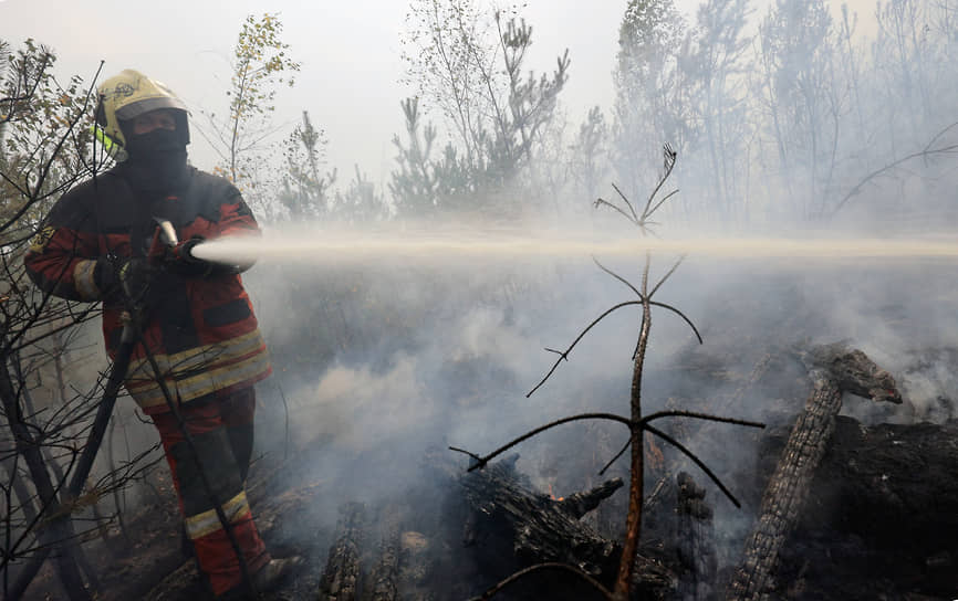 Рязанская область. Сотрудник МЧС тушит лесной пожар