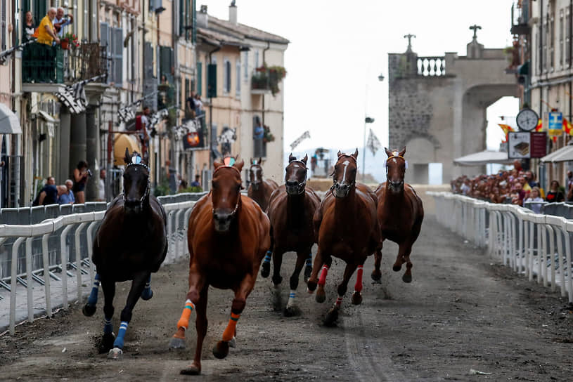 Рончильоне, Италия. Традиционная гонка лошадей без жокеев на фестивале Палио Сан-Бартоломео