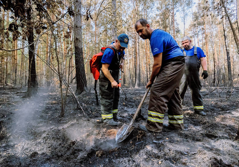 28 августа было объявлено, что распространение лесных пожаров в Рязанской области остановлено.&lt;br>На фото: сотрудники МЧС работают на месте тушения пожара