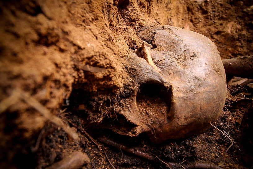 Череп человека, найденный археологами в могильной яме в Екатеринбурге