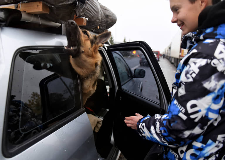 Псковская область. Мальчик стоит у автомобиля с собакой на пункте пропуска «Убылинка» на границе с Латвией