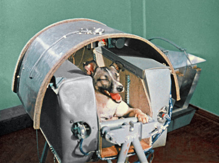 &lt;b>3 ноября 1957 года&lt;/b> СССР запустил космический аппарат «Спутник-2» с &lt;b>Лайкой&lt;/b> на борту. Советский Союз ставил испытания на собаках из-за их выносливости. Но конструкция «Спутника-2» не предусматривала возврата на Землю, поэтому судьба первого животного на орбите была предрешена. Дворняга погибла даже раньше, чем планировалось: из-за ошибки в расчетах уже через 5–7 часов после запуска Лайка скончалась от перегрева
