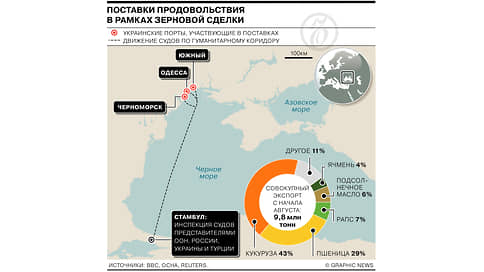 Поставки продовольствия в рамках зерновой сделки // Инфографика