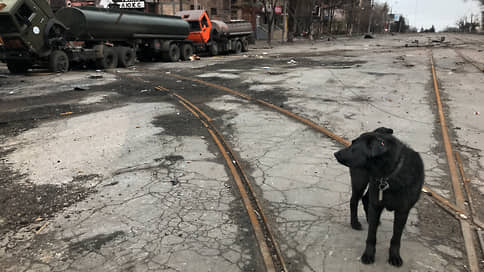 Спасение рядового Шарика // Как домашние животные переносят спецоперацию