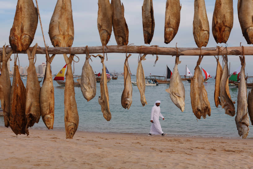 Доха, Катар. Сушеные рыбы на столичном пляже