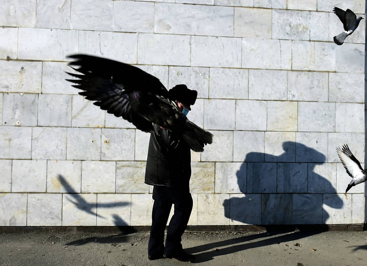 Прохожий идет сквозь стаю голубей в Новосибирске