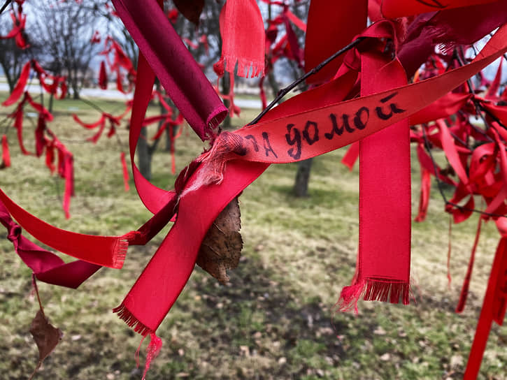 Дерево с красными лентами с пожеланиями жителей Донецка участникам СВО в парке Ленинского комсомола рядом с Аллеей Героев 