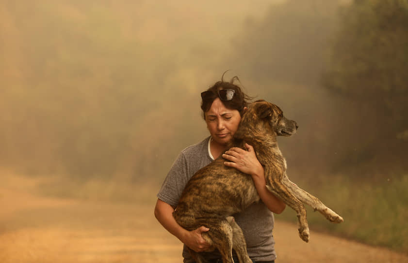 Женщина несет собаку недалеко от города Санта-Хуана, Чили