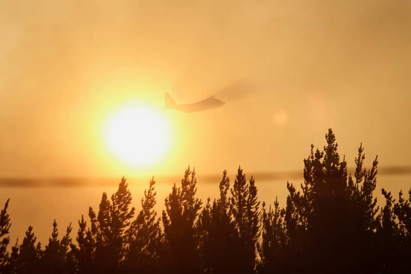 Самолет пролетает над лесным пожаром