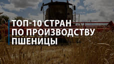 Россия и другие ведущие мировые производители пшеницы
