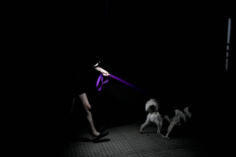 Буэнос-Айрес, Аргентина. Жительница выгуливает свою собаку в темноте из-за отключения электроэнергии