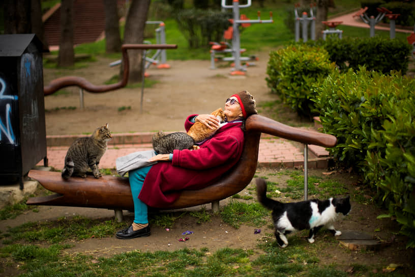 Стамбул, Турция. Женщина с кошками в городском парке Мачка 