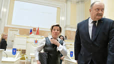 В петербургском парламенте не осталось справедливости