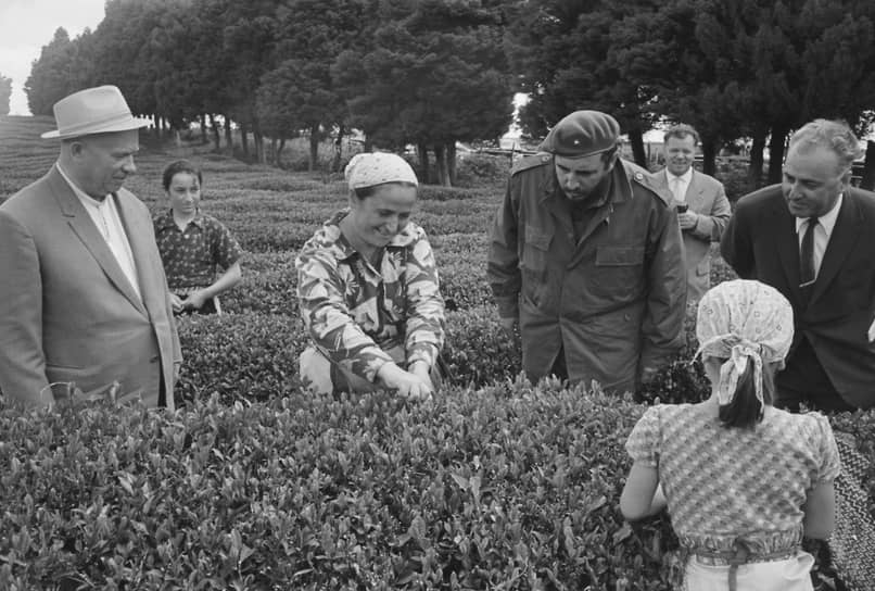 Изучая советский опыт в различных отраслях народного хозяйства, Кастро предпочитал лично общаться с простыми рабочими. На фото — со сборщицами абхазского чайного листа